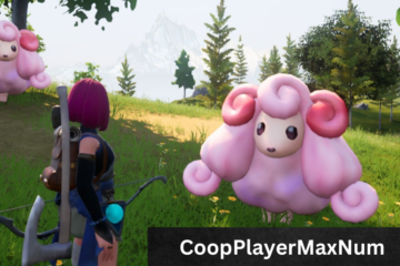 CoopPlayerMaxNum